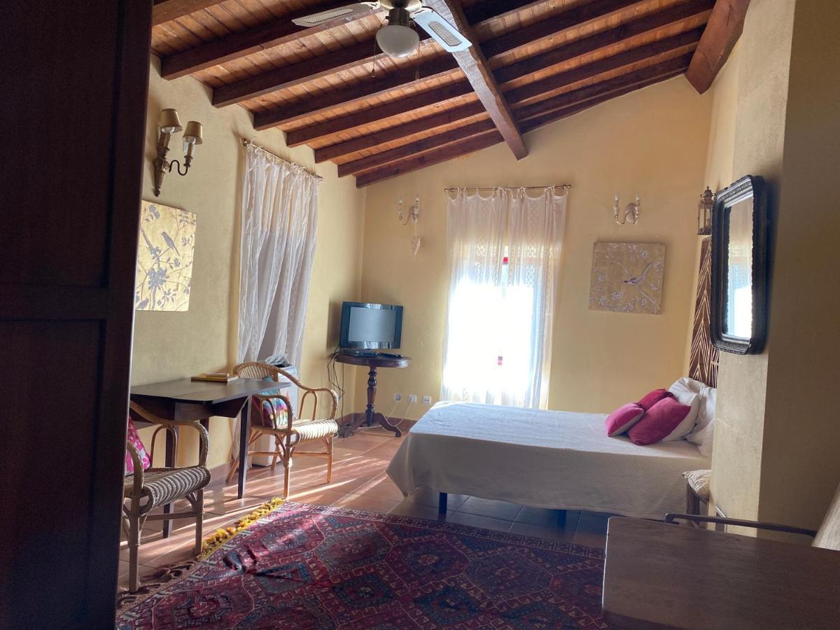 Casa De David